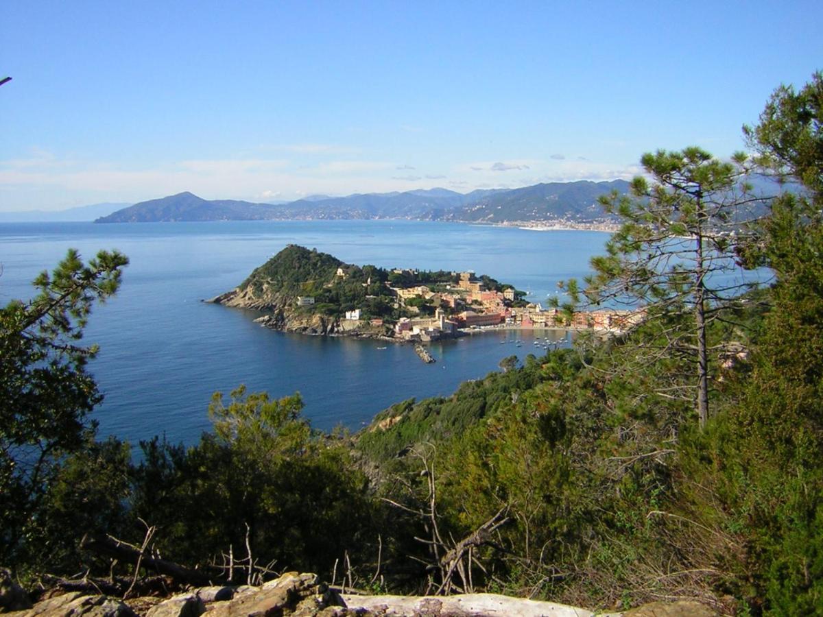 Centrale Nel Verde Int 1 Sestri Levante Exterior foto